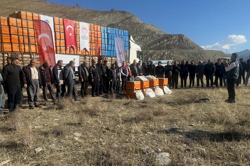 Şırnak