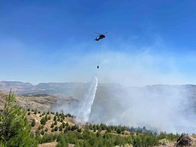 Çobanın çay ateşi ormana sıçradı

