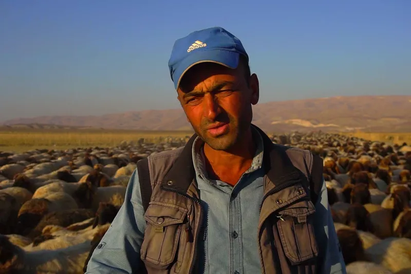 Göçerlerin zorlu kış yolculuğu başladı