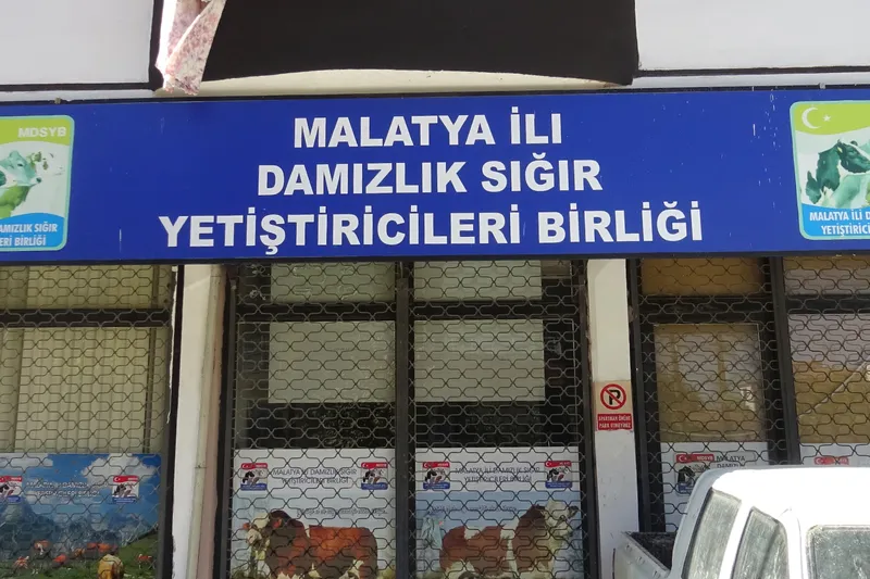 Malatya Damızlık Sığır Yetiştiricileri Birliği