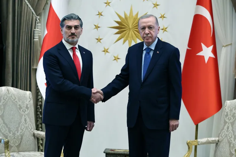 Cumhurbaşkanı Erdoğan, Gürcistan Cumhurbaşkanı Kavelashvili ile görüştü