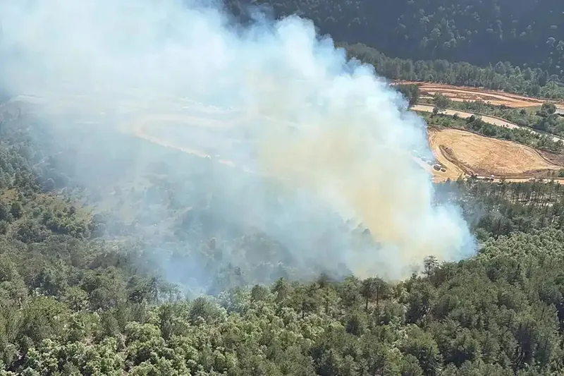 Muğla’da orman yangını
