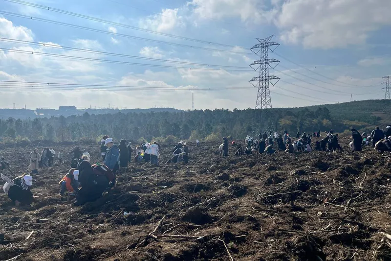 Gazze için 10 bin fidan dikildi