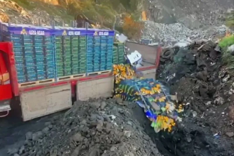 Zirai ilaç kalıntısı tespit edilen 6 bin 100 kilogram mandalina imha edildi