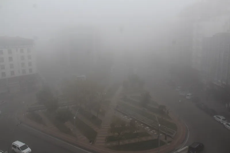 Sürüş eğitmenleri: Sisli havalarda acele etmeyin, mesafenizi koruyun