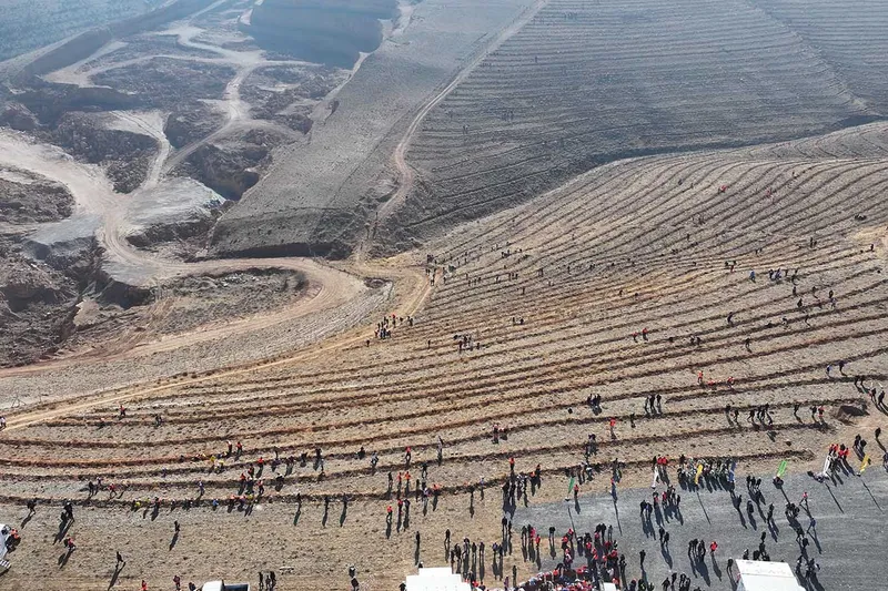 Konya’da “Geleceğe Nefes” için 15 bin fidan toprakla buluşturuldu