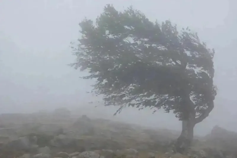 Meteoroloji 4 il için sarı kod verdi: Sağanak, dolu ve hortum ihtimali