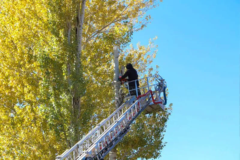 Bingöl Karlıova belediyesinden ağaç kesimi yapan vatandaşlara itfaiye desteği