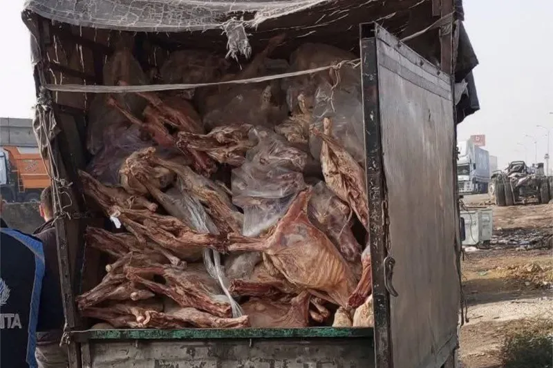 Gaziantep’te 1,9 ton bozulmuş et imha edildi
