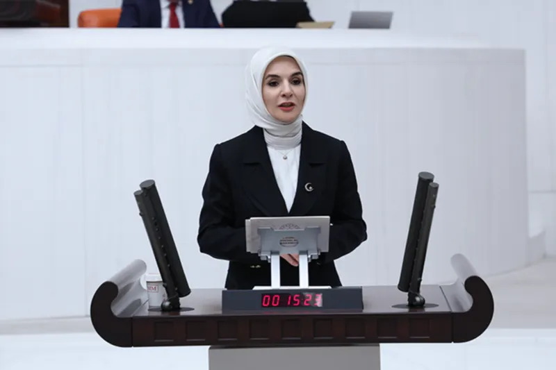Aile ve Sosyal Hizmetler Bakanı Göktaş, TBMM Genel Kurulunda bakanlığının 2026 yılı bütçesini sundu