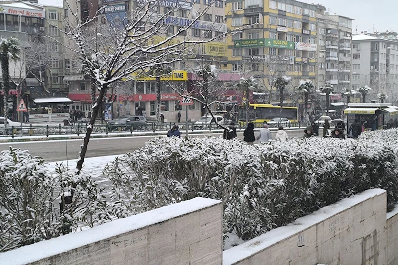 Bursa