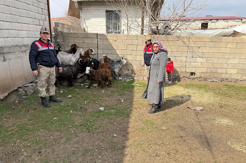 Şanlıurfa