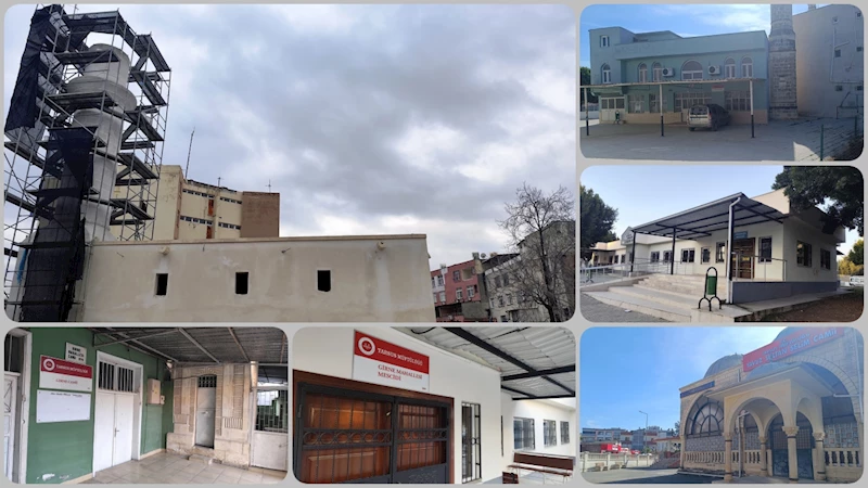Tarsus
