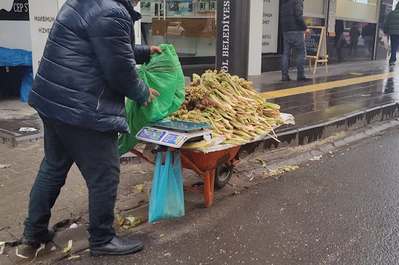 Bingöl