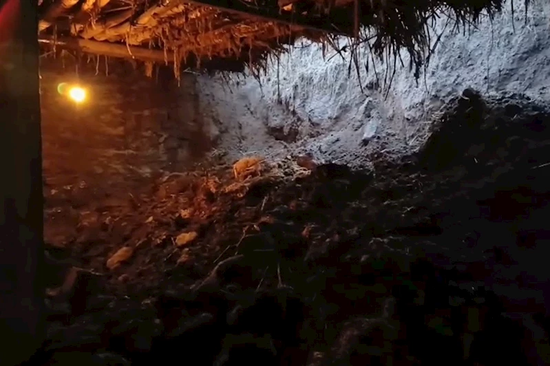 Ağrı