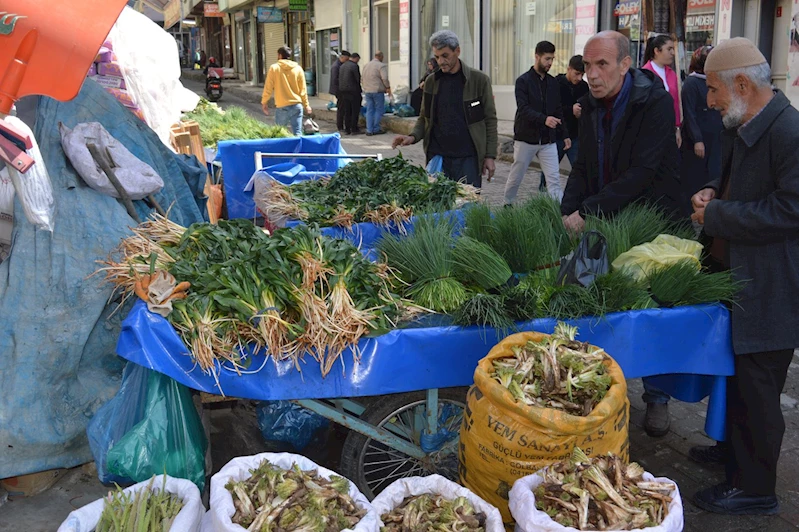 Baharın şifası soryaz, kenger ve sirik tezgahlarda 