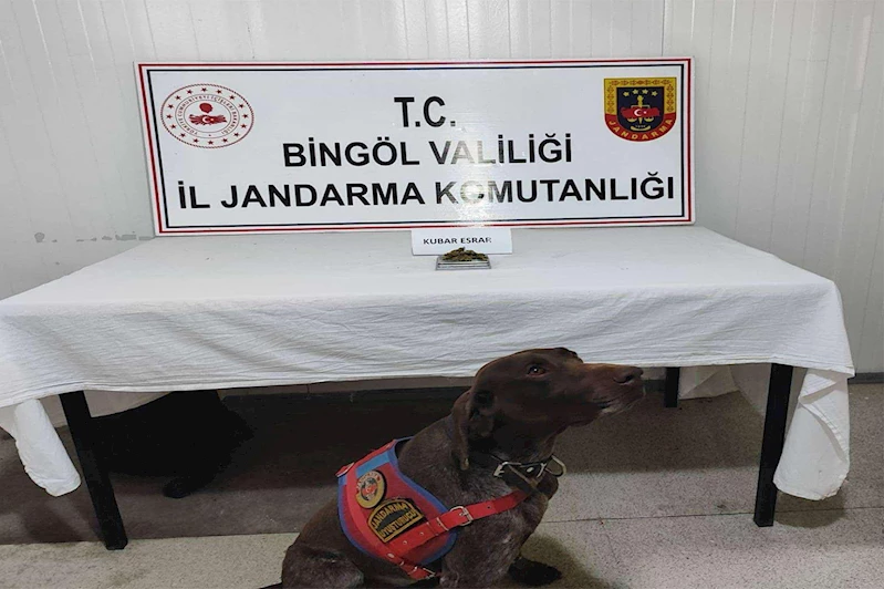 Bingöl
