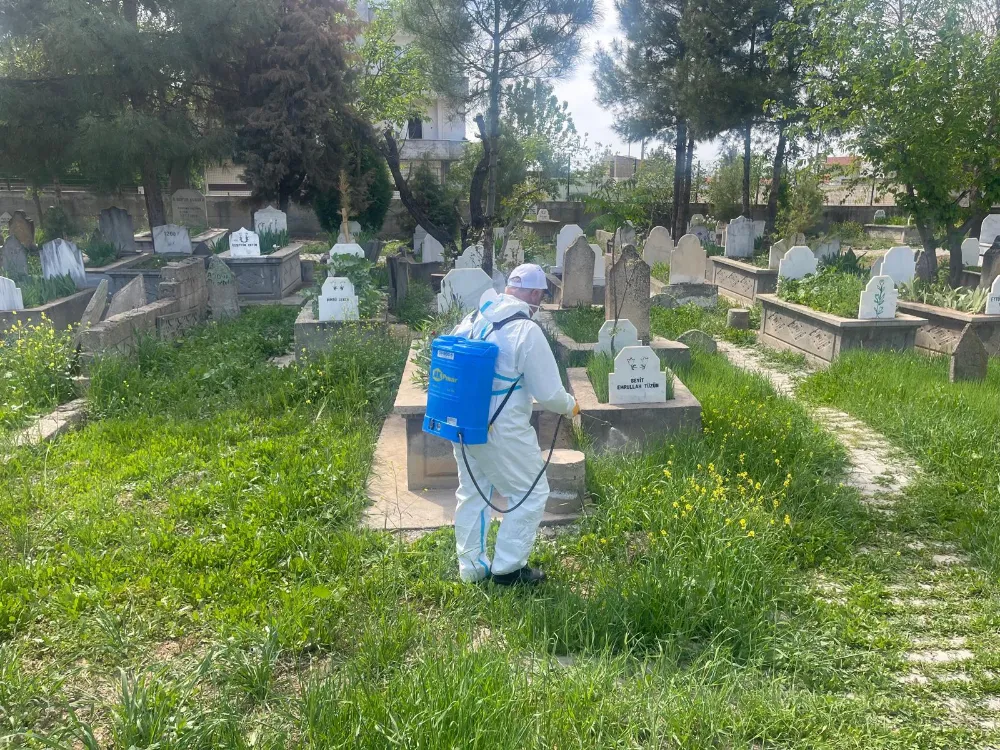 Mezarlıklarda ilaçlama çalışmalarına başlandı