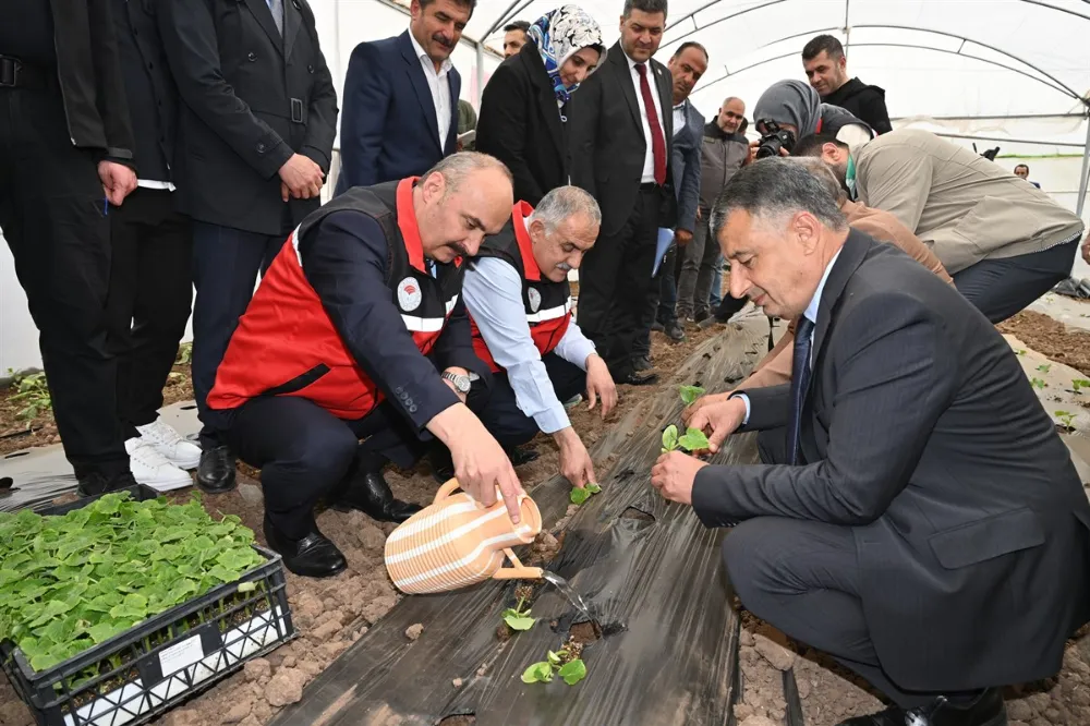Balpınar’da 31 yeni sera çiftçilere teslim edildi
