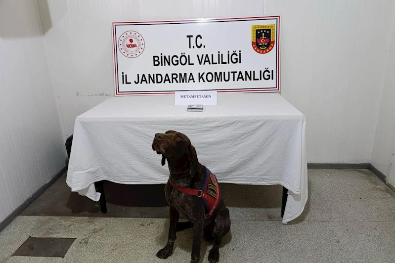 Bingöl