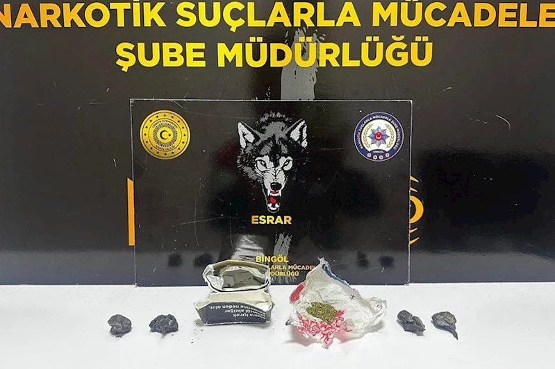Bingöl’de uyuşturucu operasyonu: 2 gözaltı
