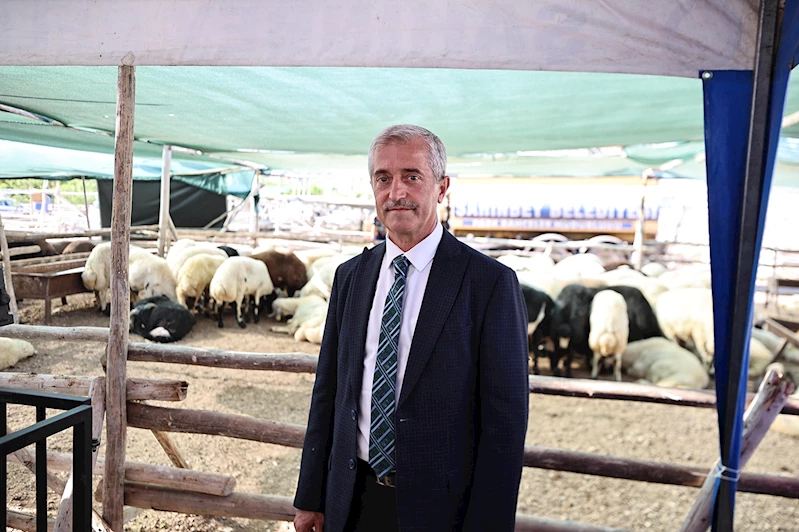 Tahmazoğlu: Kurban Bayramı