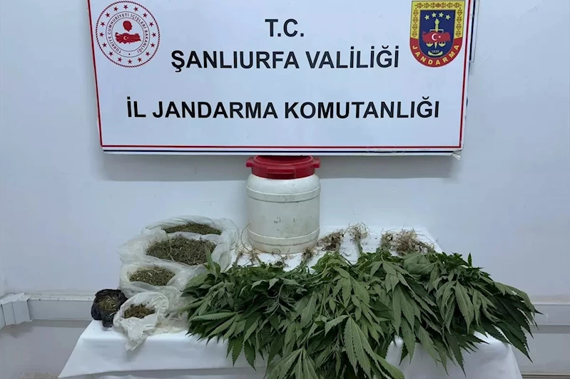 Şanlıurfa