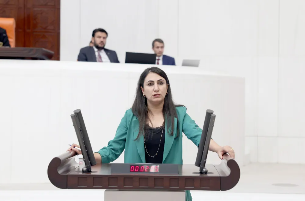 DEM Partili Oduncu’dan Batman Çayı İçin Meclis’te Girişim