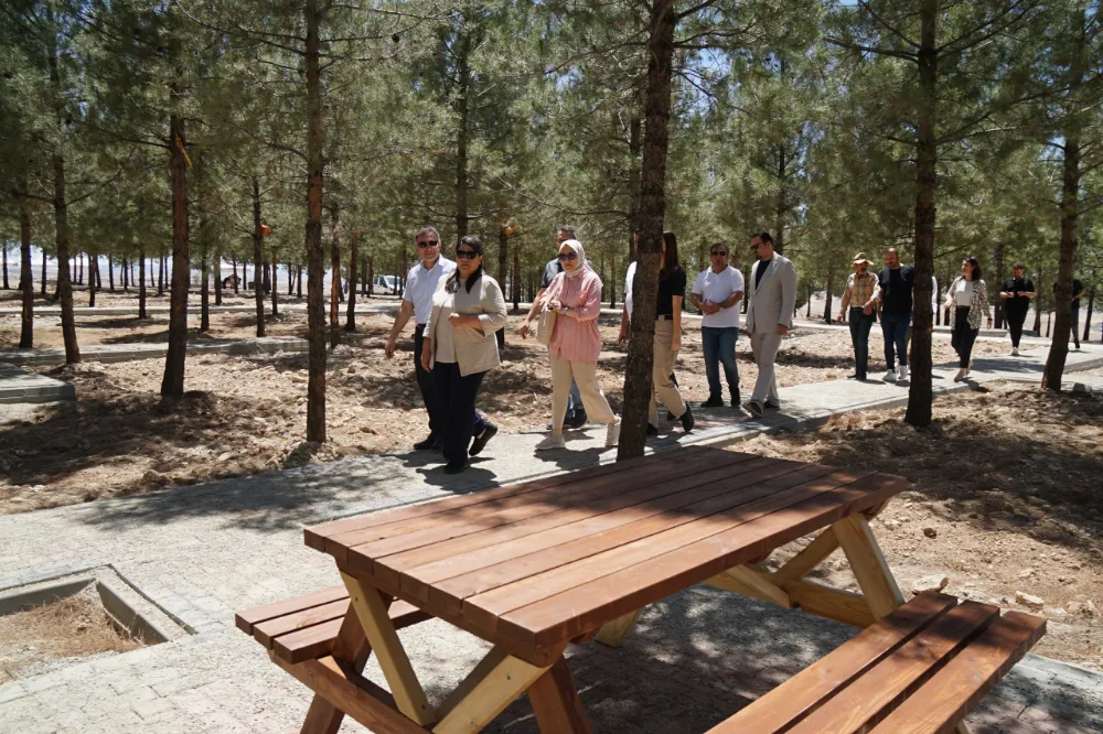 Nasıroğlu hatıra ormanına yürüyüş yolu, kamelya ve piknik masaları
