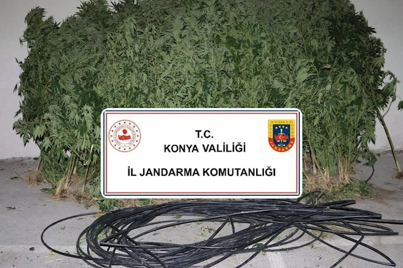 Konya