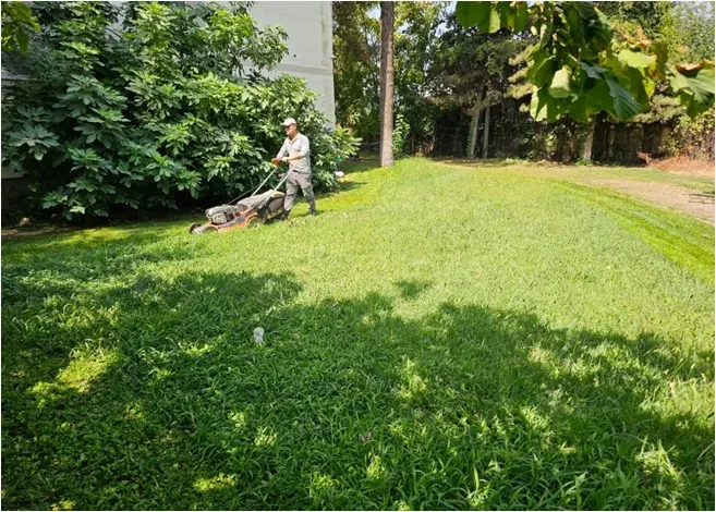 PARK VE YEŞİL ALANLARDA GENEL TEMİZLİK VE BAKIM ÇALIŞMALARI