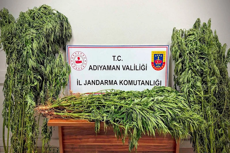 Uyuşturucu operasyonunda 9 kişi gözaltına alındı