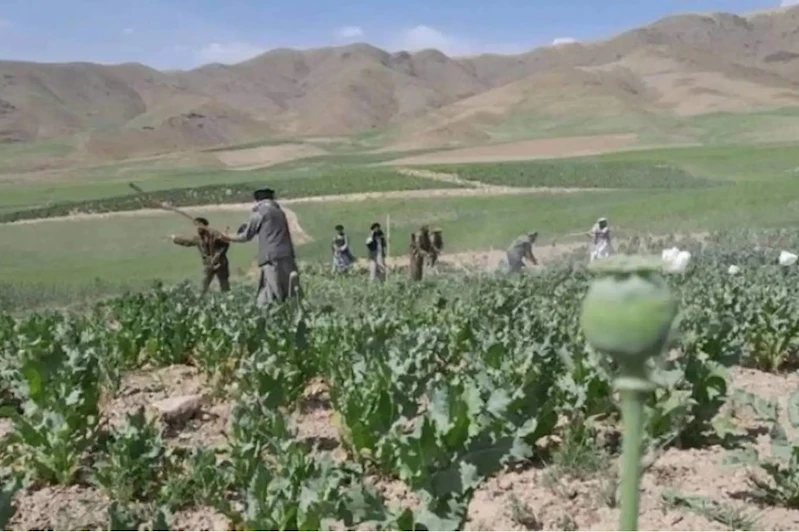 Afganistan