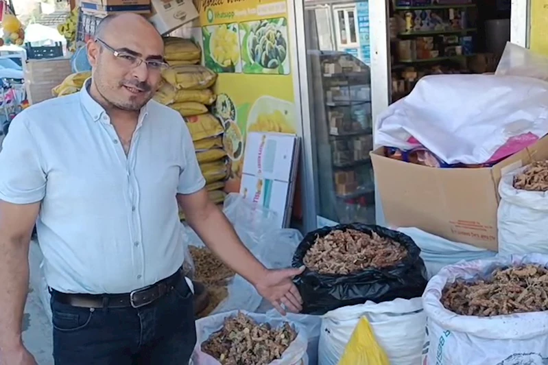 Hasadı başlayan 