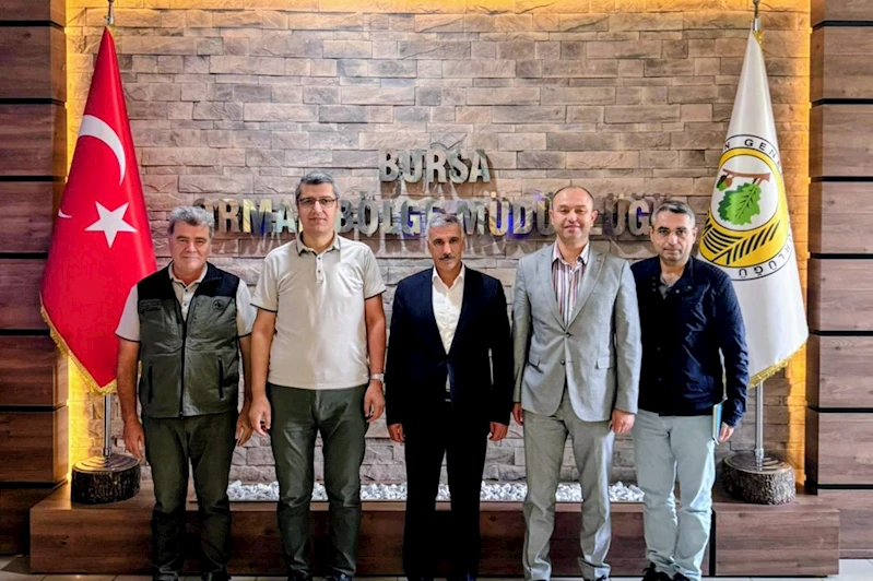 Bursa
