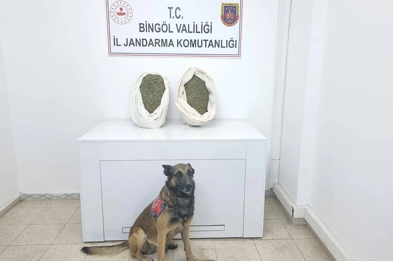Bingöl’de uyuşturucu operasyonu: 1 tutuklama