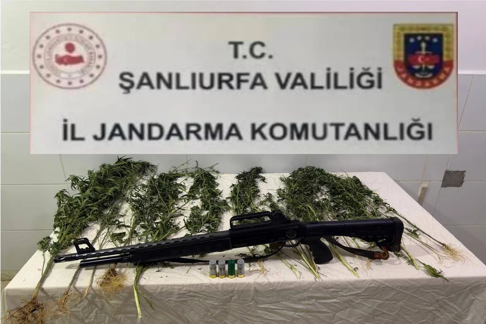 Şanlıurfa’da uyuşturucu operasyonu