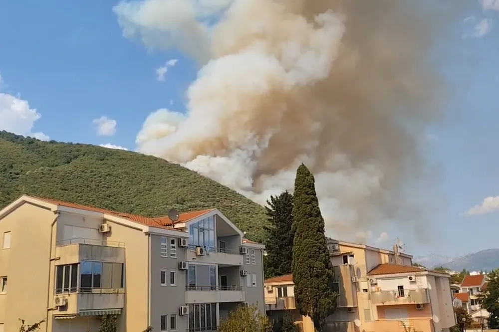 Bijelo Polje'de orman yangını