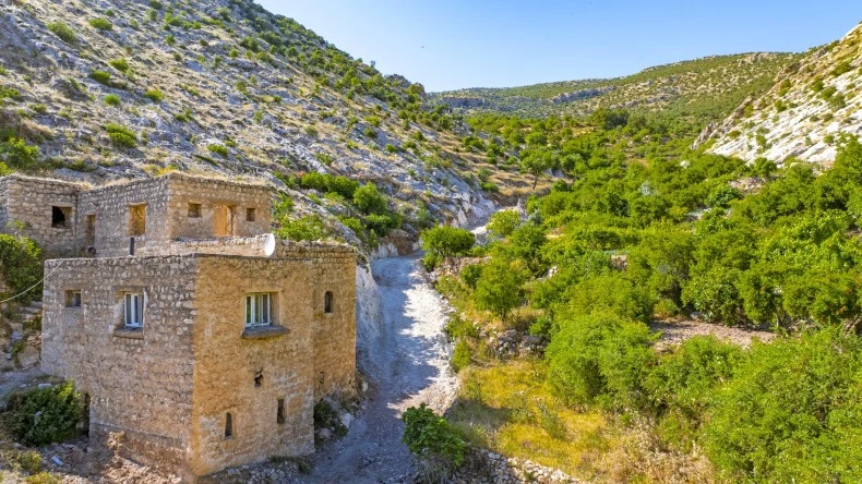 Dereli Köyü Ulaşım Altyapısı Güçlendirildi