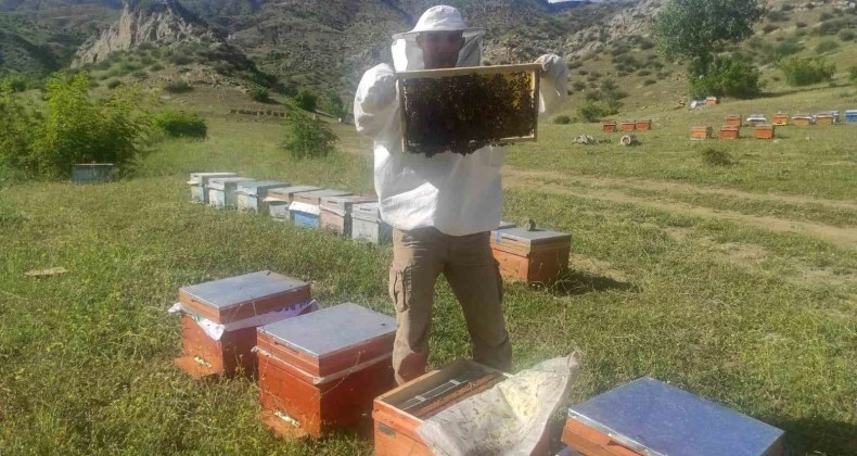 Batman’da hazırlıklarını tamamlayan arıcılar organik bal üretimi için yaylalara çıkıyor
