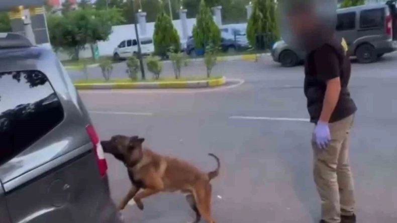 Batman’da takibe alınan araçlarda 93 kilo esrar ele geçirildi