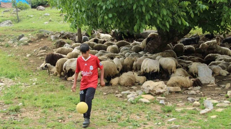 Çobanlık yapan Ender Sağım, keşfedilmeyi bekliyor