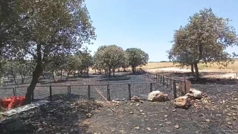 Diyarbakır ve Mardin’deki yangının çıkış sebebine ilişkin her ihtimal araştırılıyor