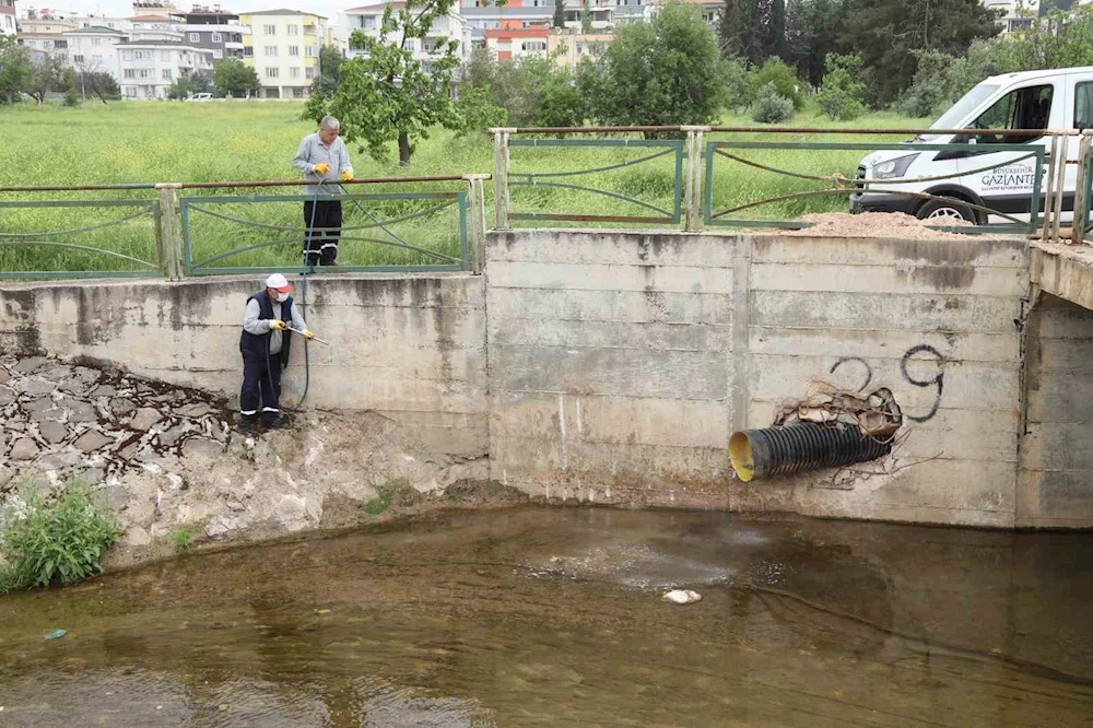 Gaziantep’te haşerelere karşı 165 bin noktada ilaçlama yapılıyor