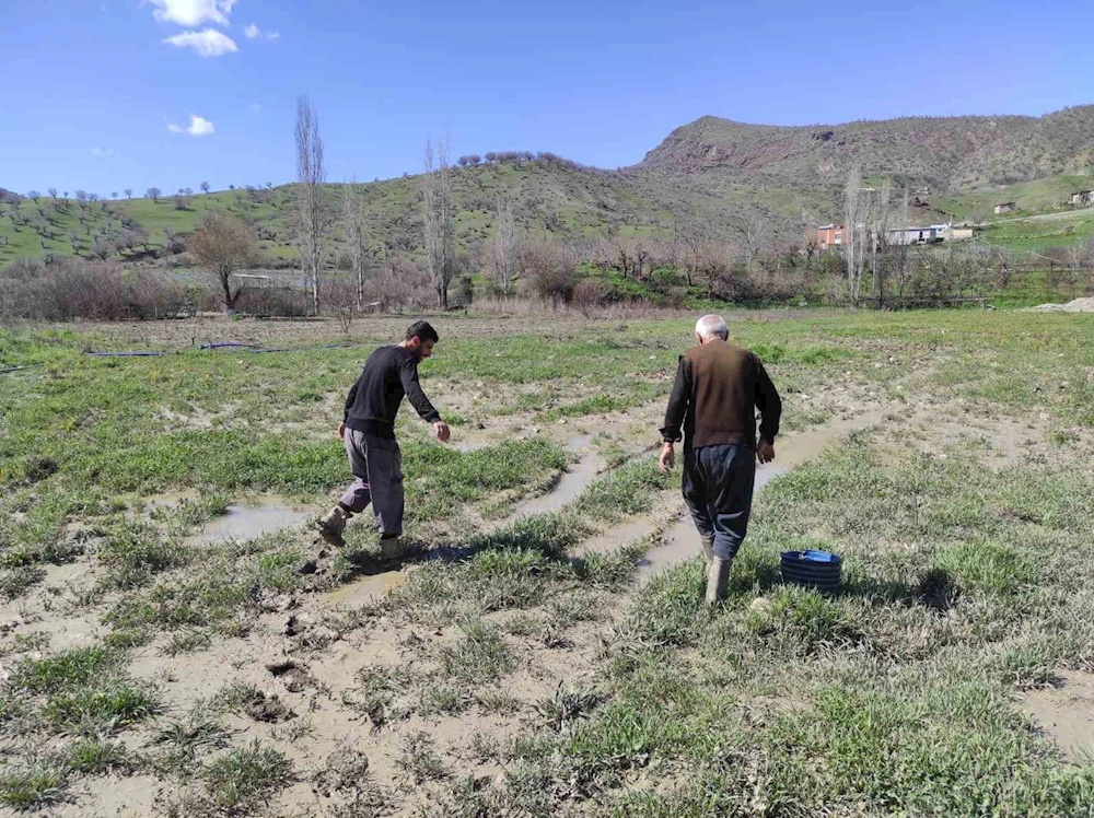 Sason’da şiddetli yağış sonrası dere taştı, çilek bahçesi su altında kaldı