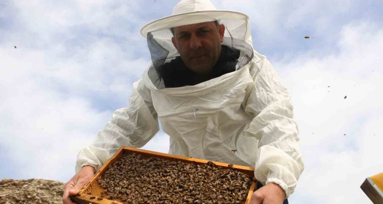 Diyarbakır’da kış uykusuna yatmayan arıların yüzde 30’u telef oldu
