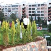 Eyyübiye’de tematik park yapılıyor