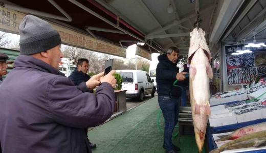 Siirt’te dev turna balıkları tezgahta yoğun ilgi gördü