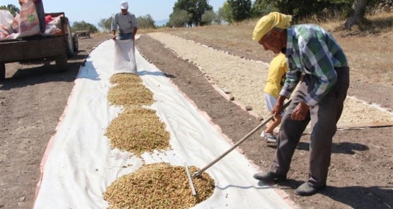 Siirt’te tarımsal destekleme tutarı 201 milyon liraya ulaştı